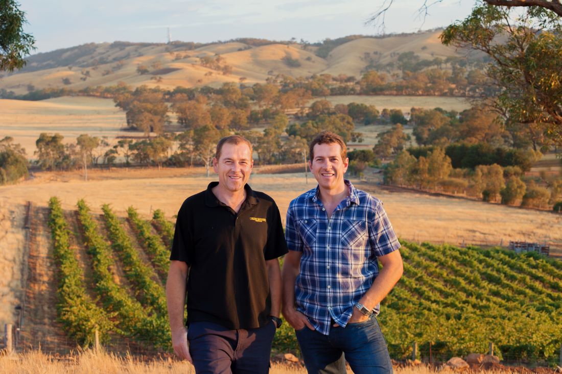 Two men in the Fratin Brothers vineyard